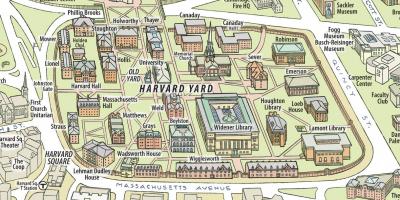 Mapa Harvard-eko unibertsitatean
